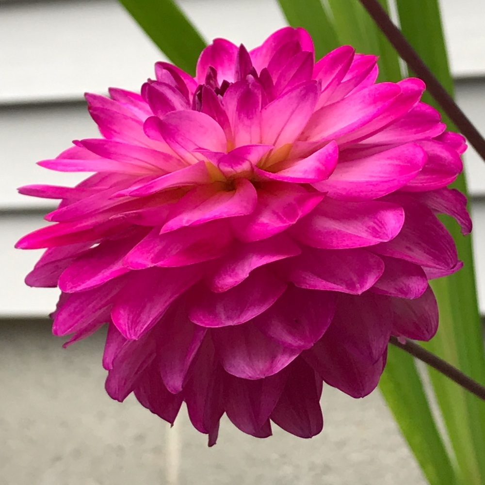 Meet your Posher, Kel